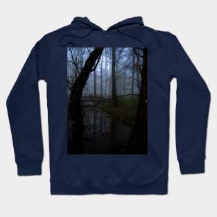 Evening in Woods Hoodie